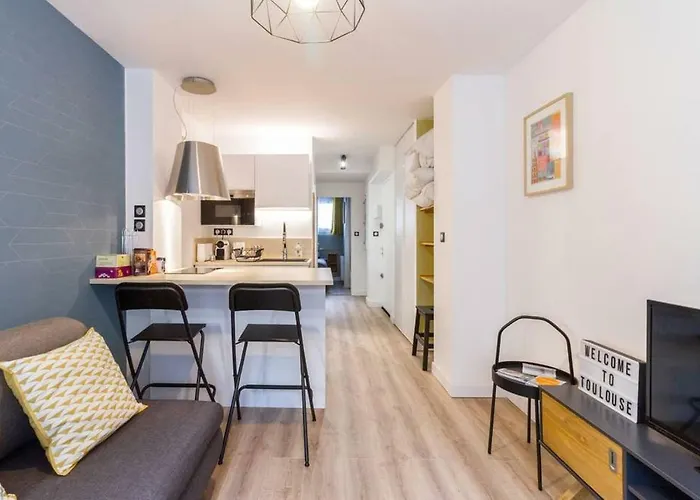Apartment Calme Renove Jardin Des Plantes Busca Toulouse