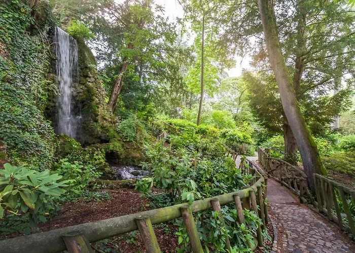 Calme Renove Jardin Des Plantes Busca * Toulouse